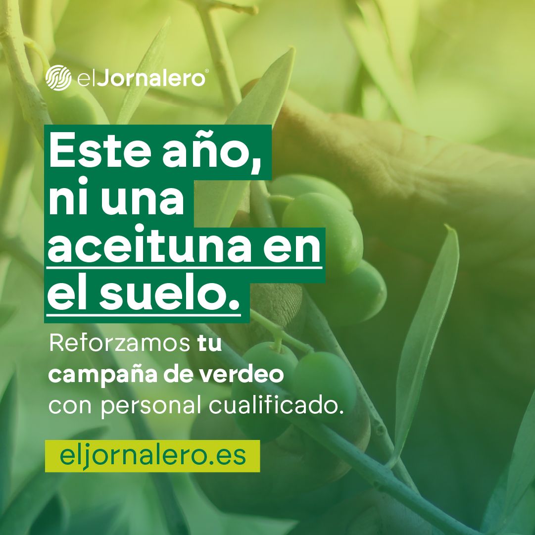 El Jornalero ad