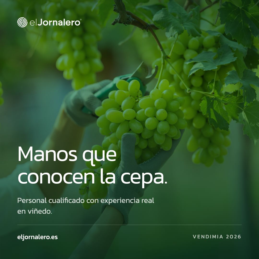 El Jornalero ad