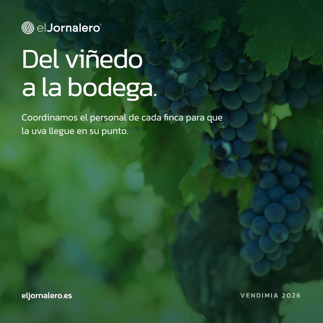 El Jornalero ad