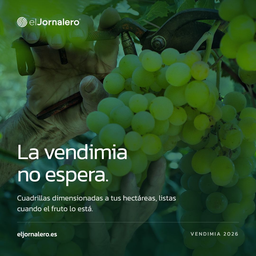 El Jornalero ad