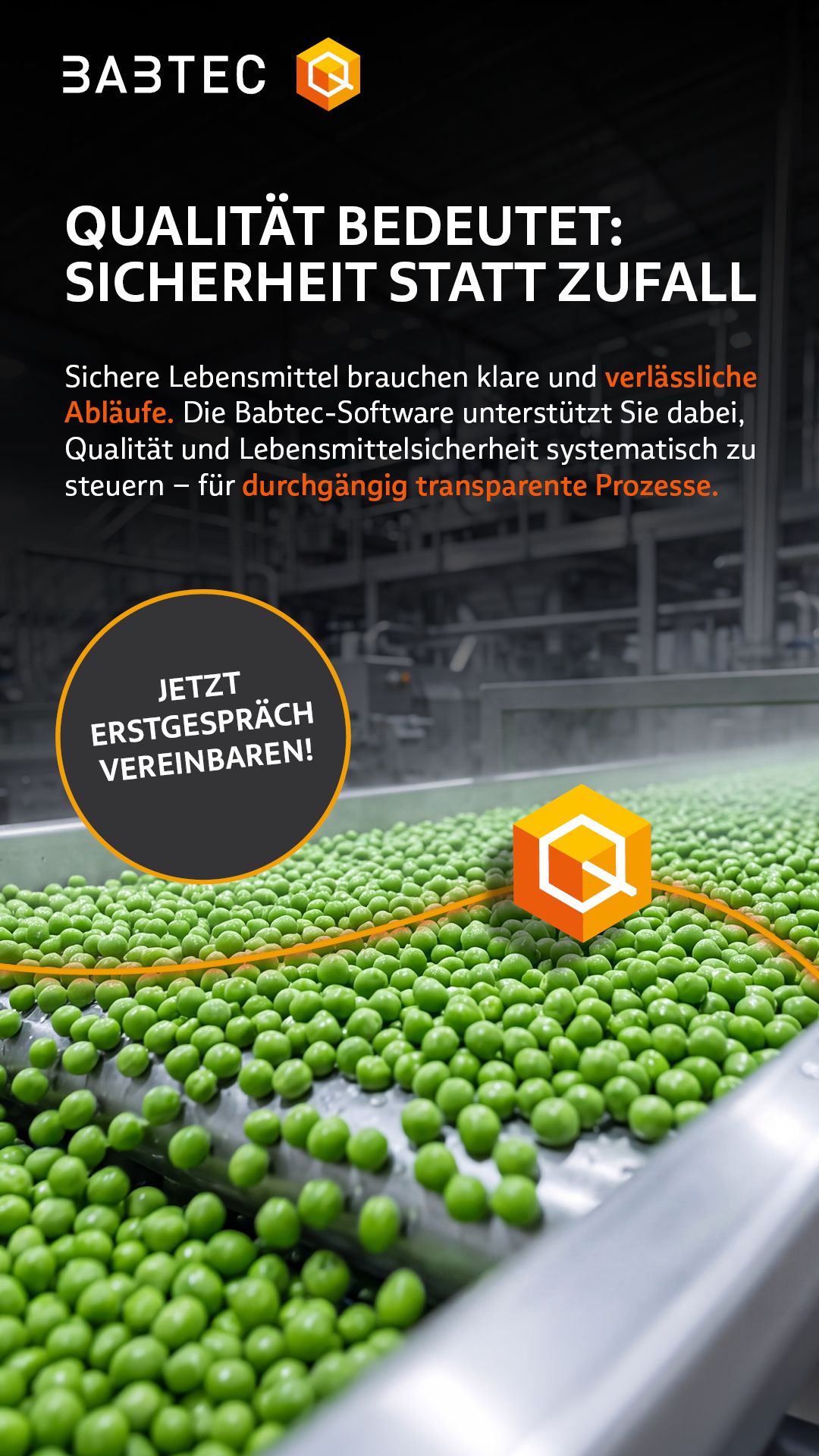 Babtec Informationssysteme GmbH ad