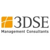 3DSE Management Consultants GmbH ad