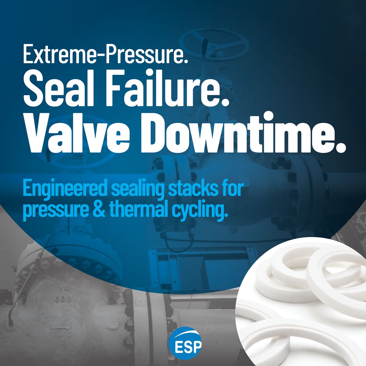 Engineered Seal Products ad
