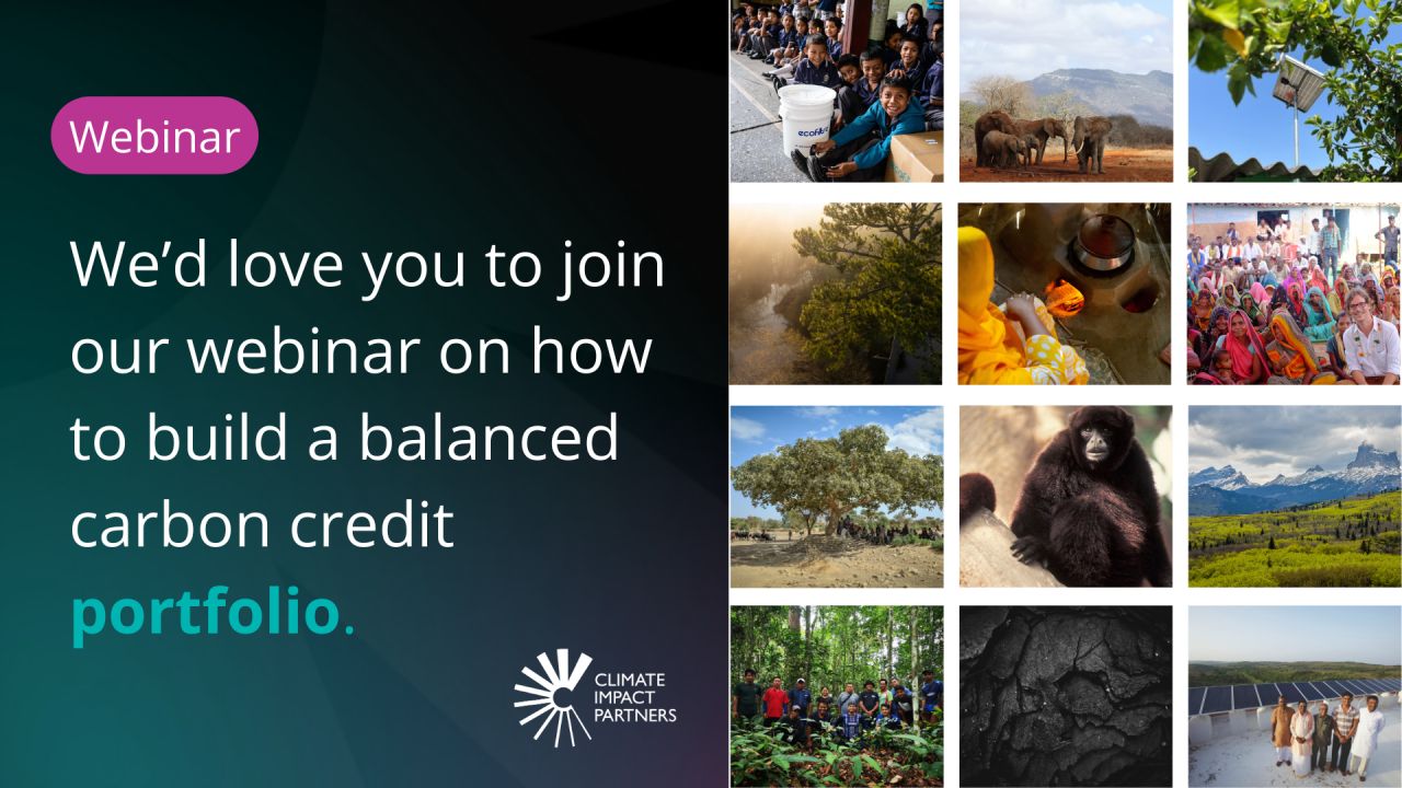 Climate Impact Partners ad