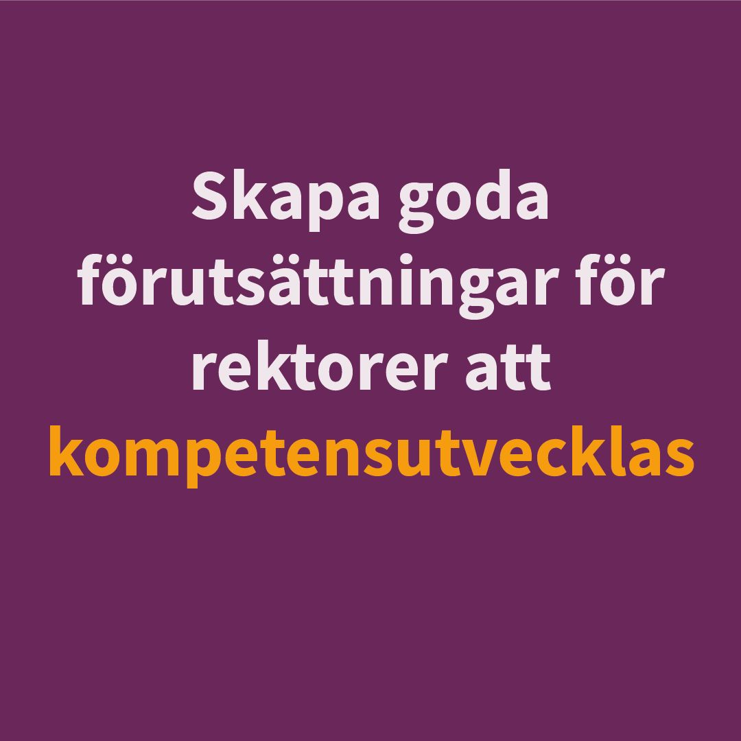 Skolverket ad