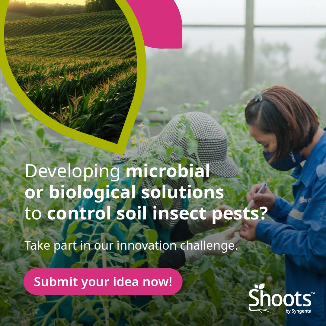 Syngenta ad