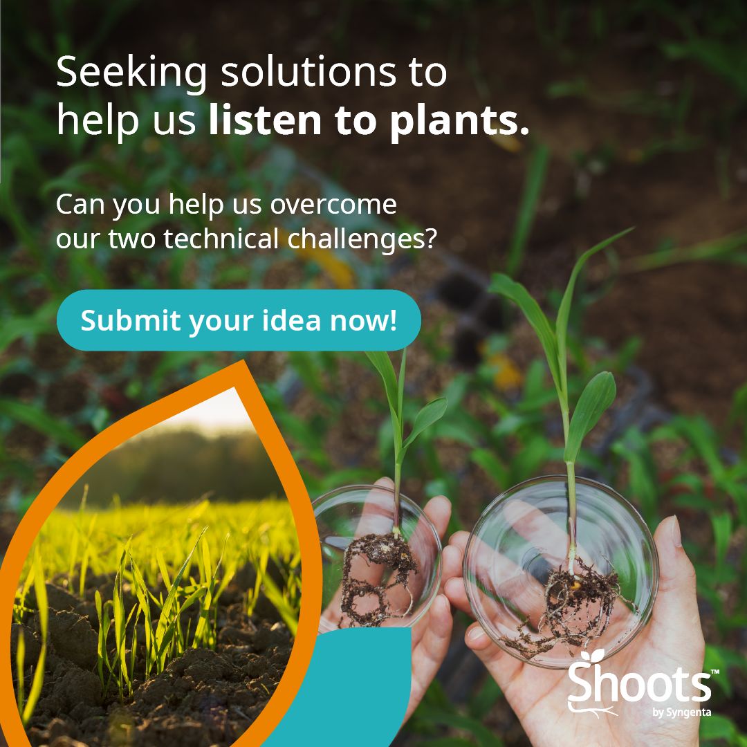 Syngenta ad