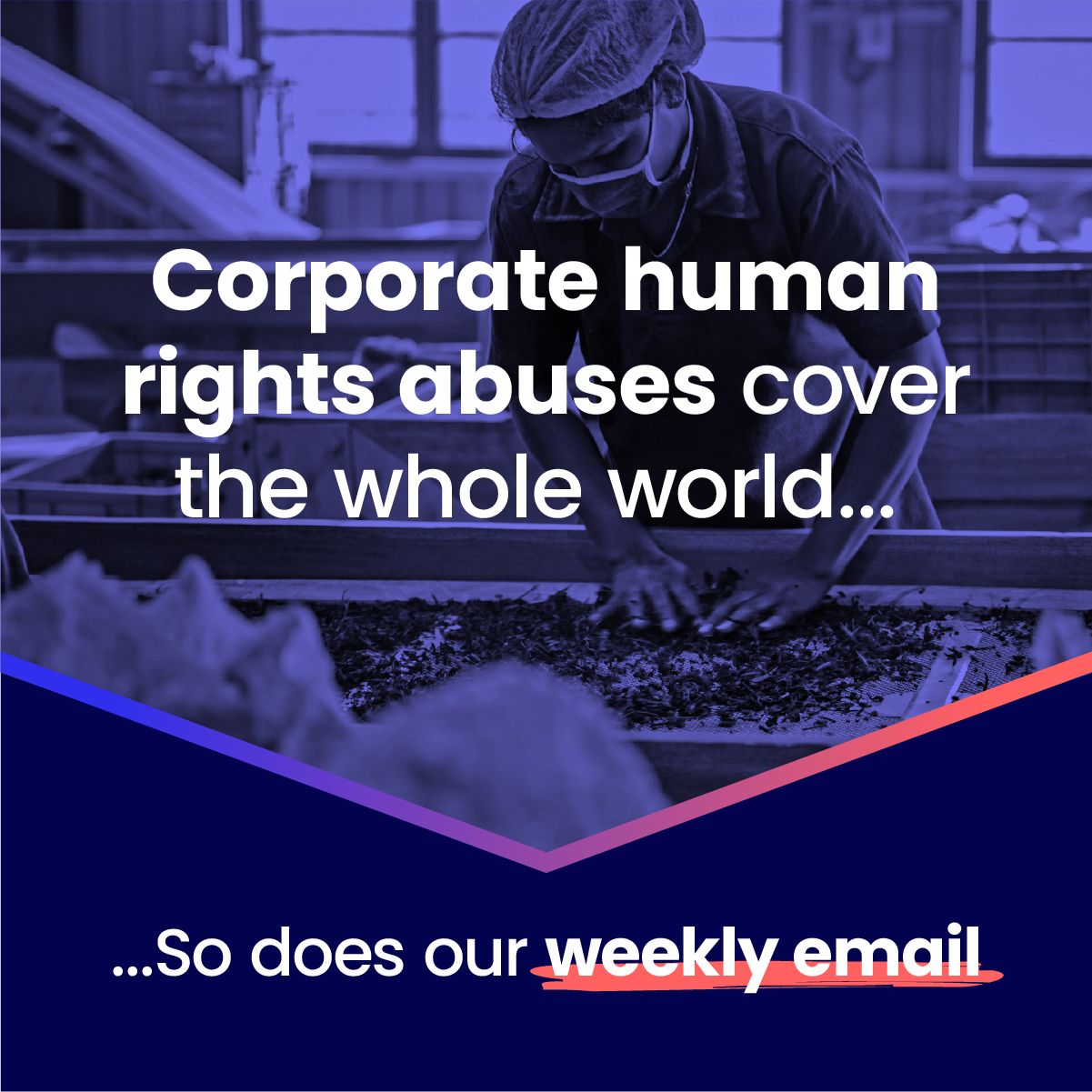 Business and Human Rights Centre ad