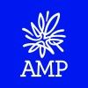 AMP ad