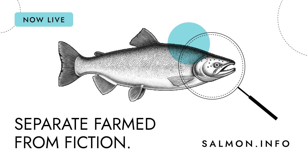 Atlantic Salmon Federation ad