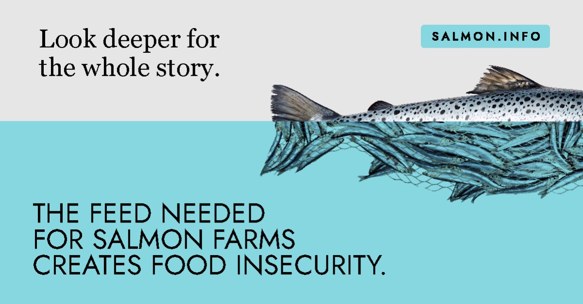 Atlantic Salmon Federation ad