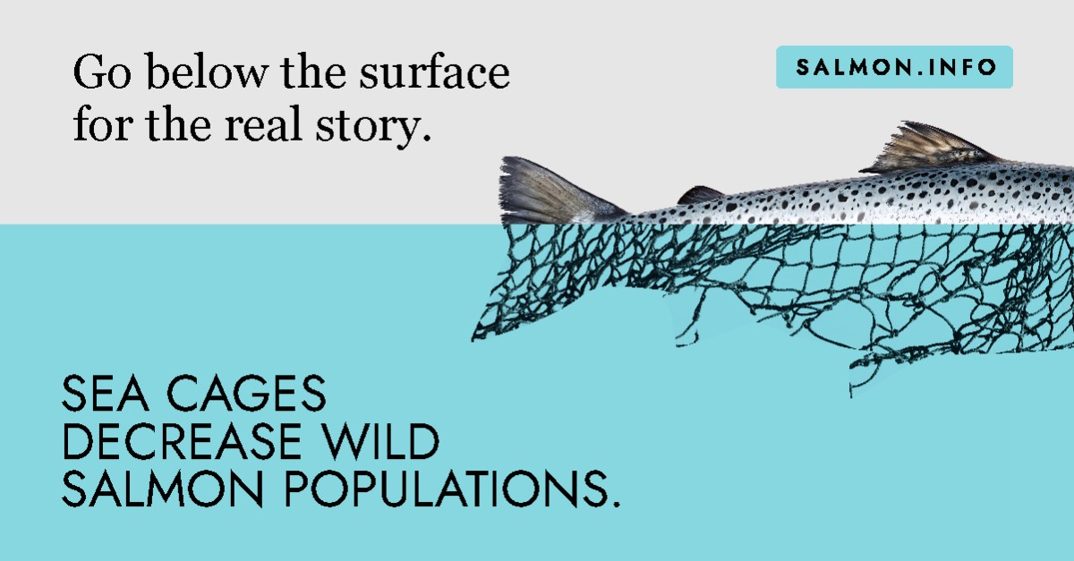 Atlantic Salmon Federation ad