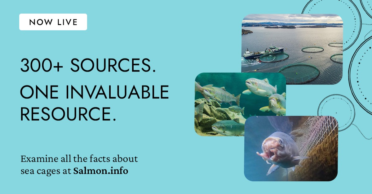 Atlantic Salmon Federation ad