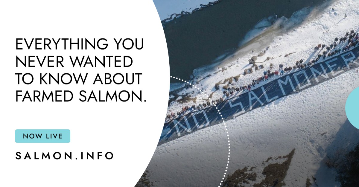 Atlantic Salmon Federation ad