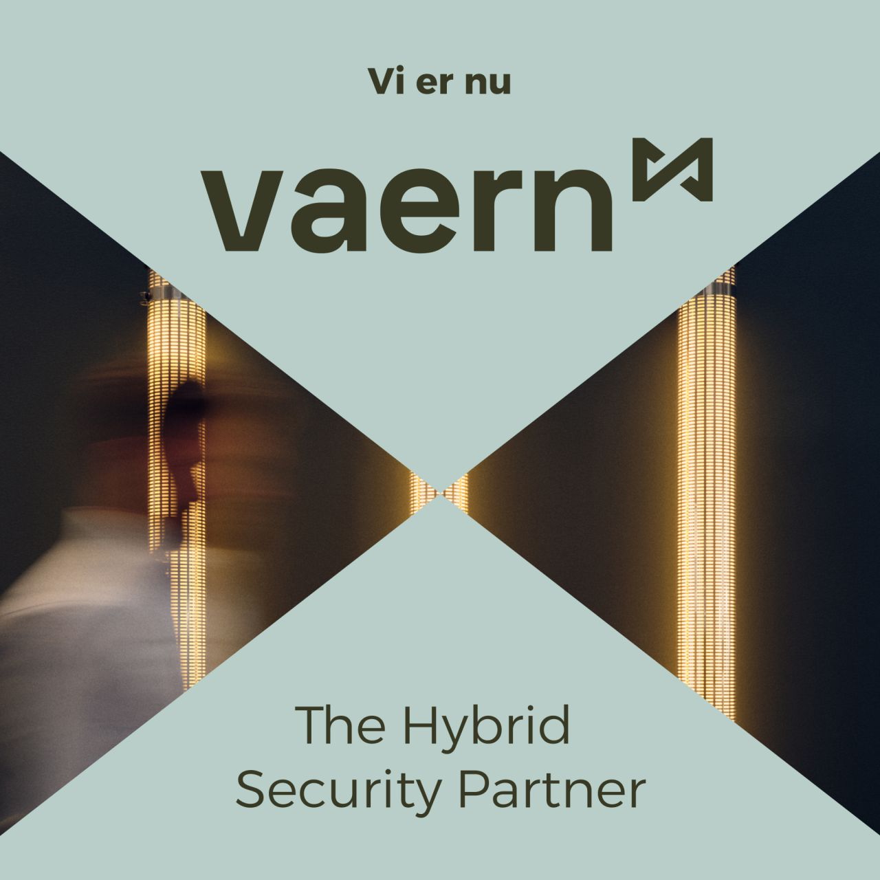 Vaern - The Hybrid Security Partner ad