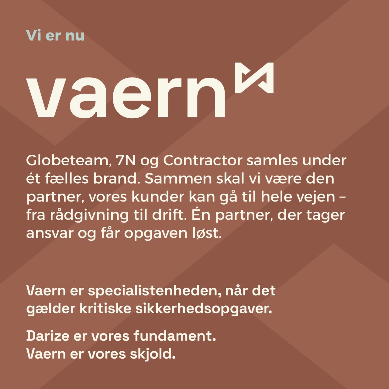 Vaern - The Hybrid Security Partner ad