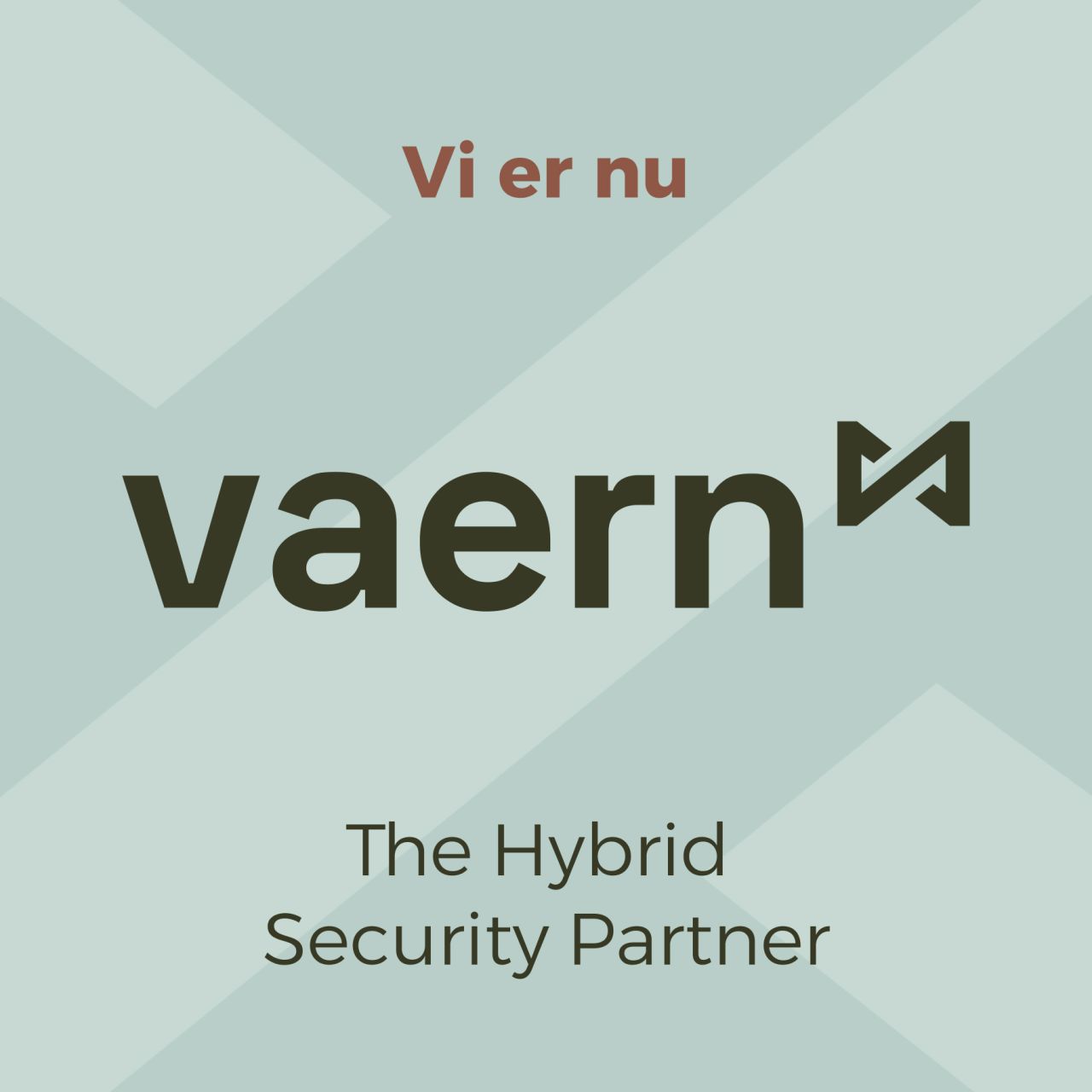 Vaern - The Hybrid Security Partner ad