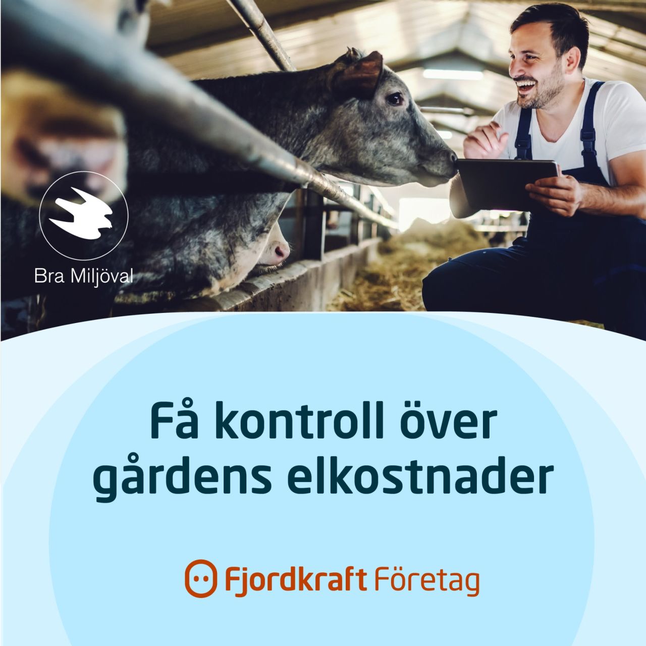 Fjordkraft ad
