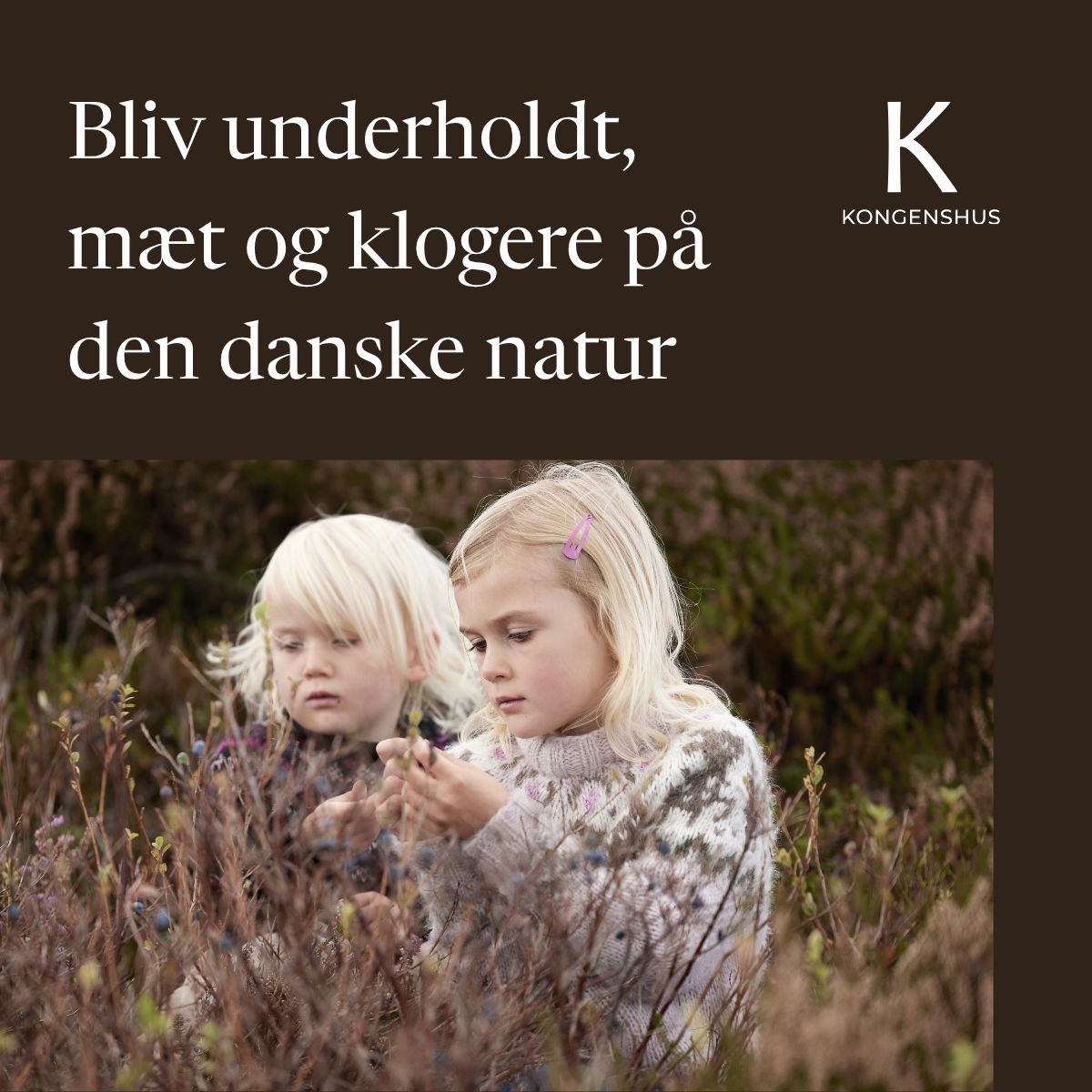 Hedeselskabet ad