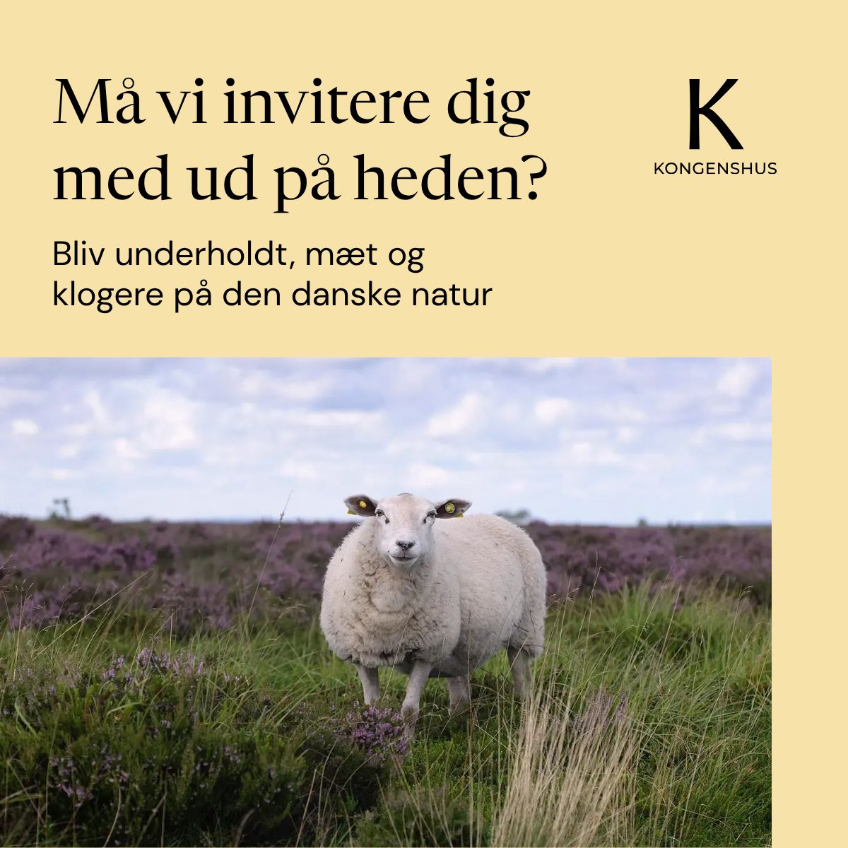 Hedeselskabet ad