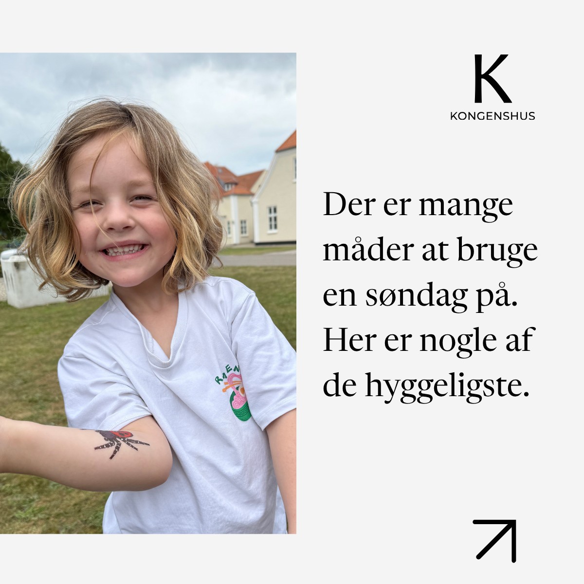 Hedeselskabet ad
