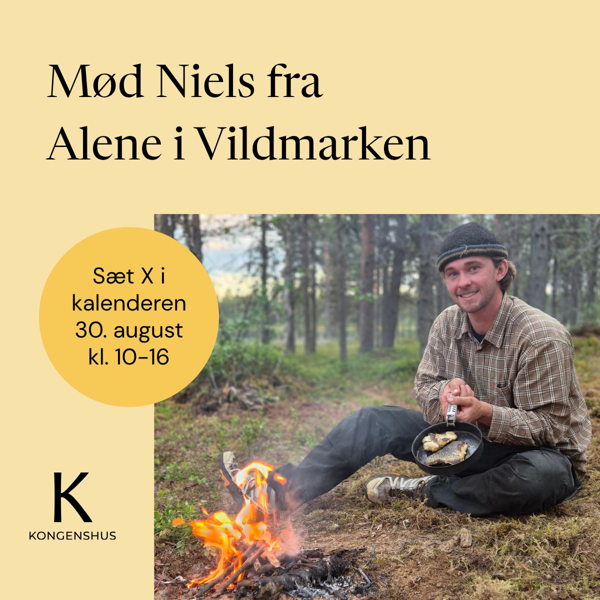 Hedeselskabet ad