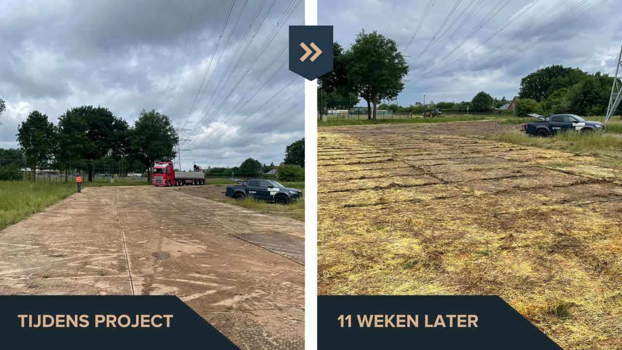 FEREX Rijplaten ad
