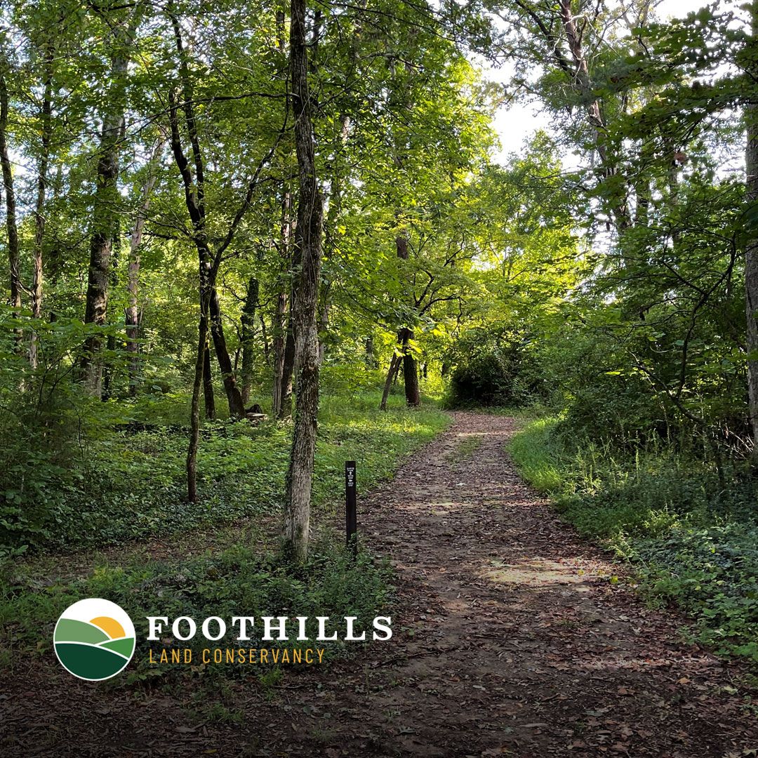 Foothills Land Conservancy ad