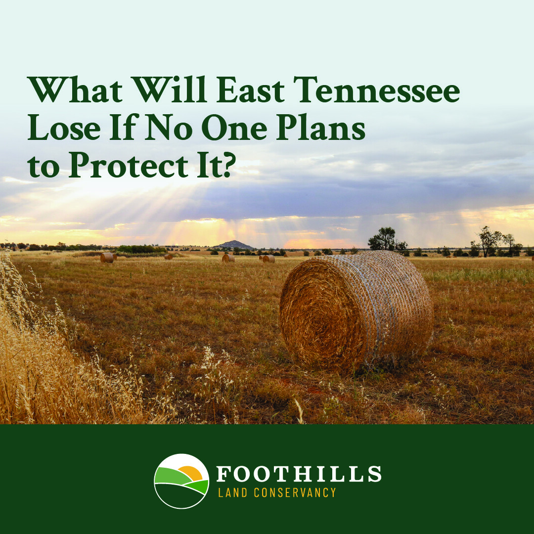 Foothills Land Conservancy ad