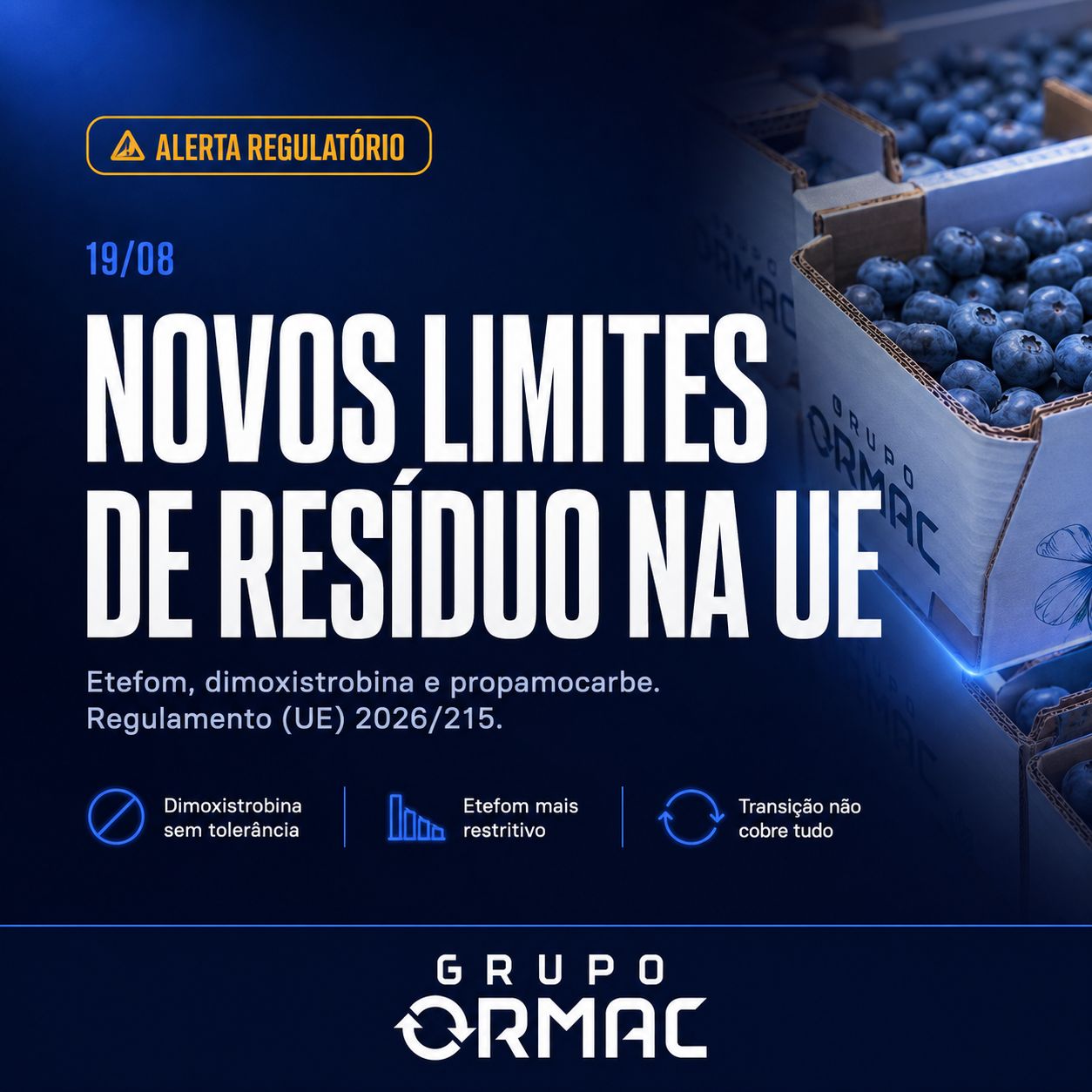 Grupo Ormac ad