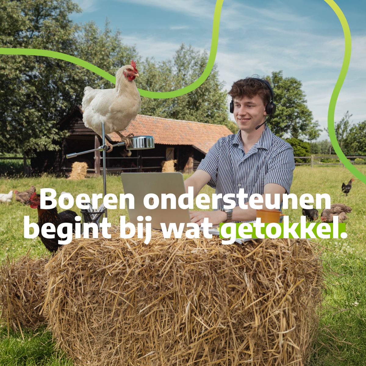 Arvesta ad