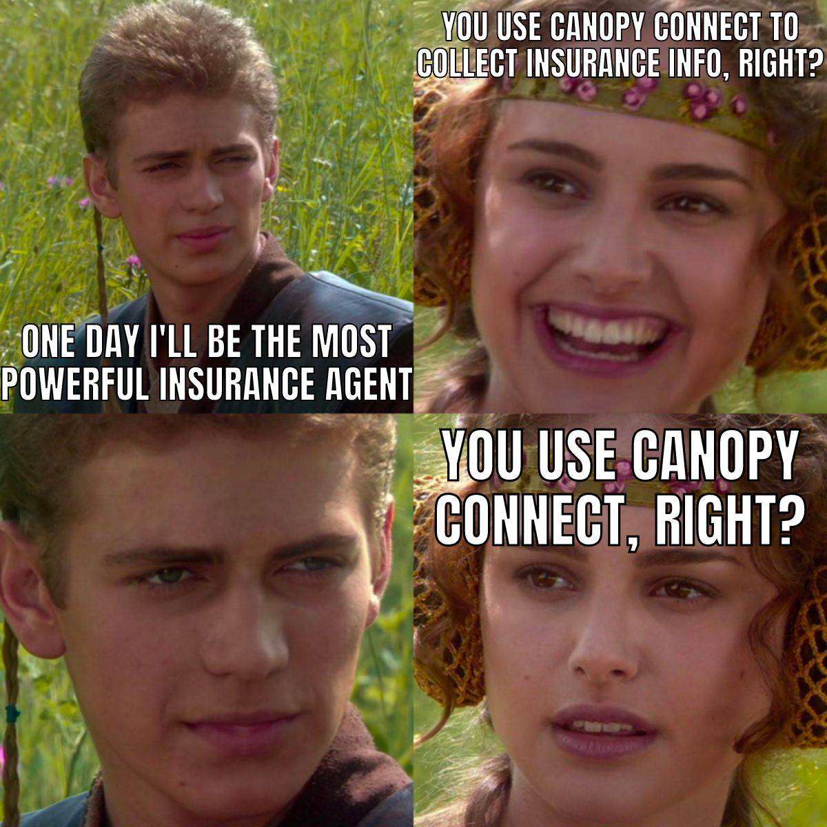 Canopy Connect ad