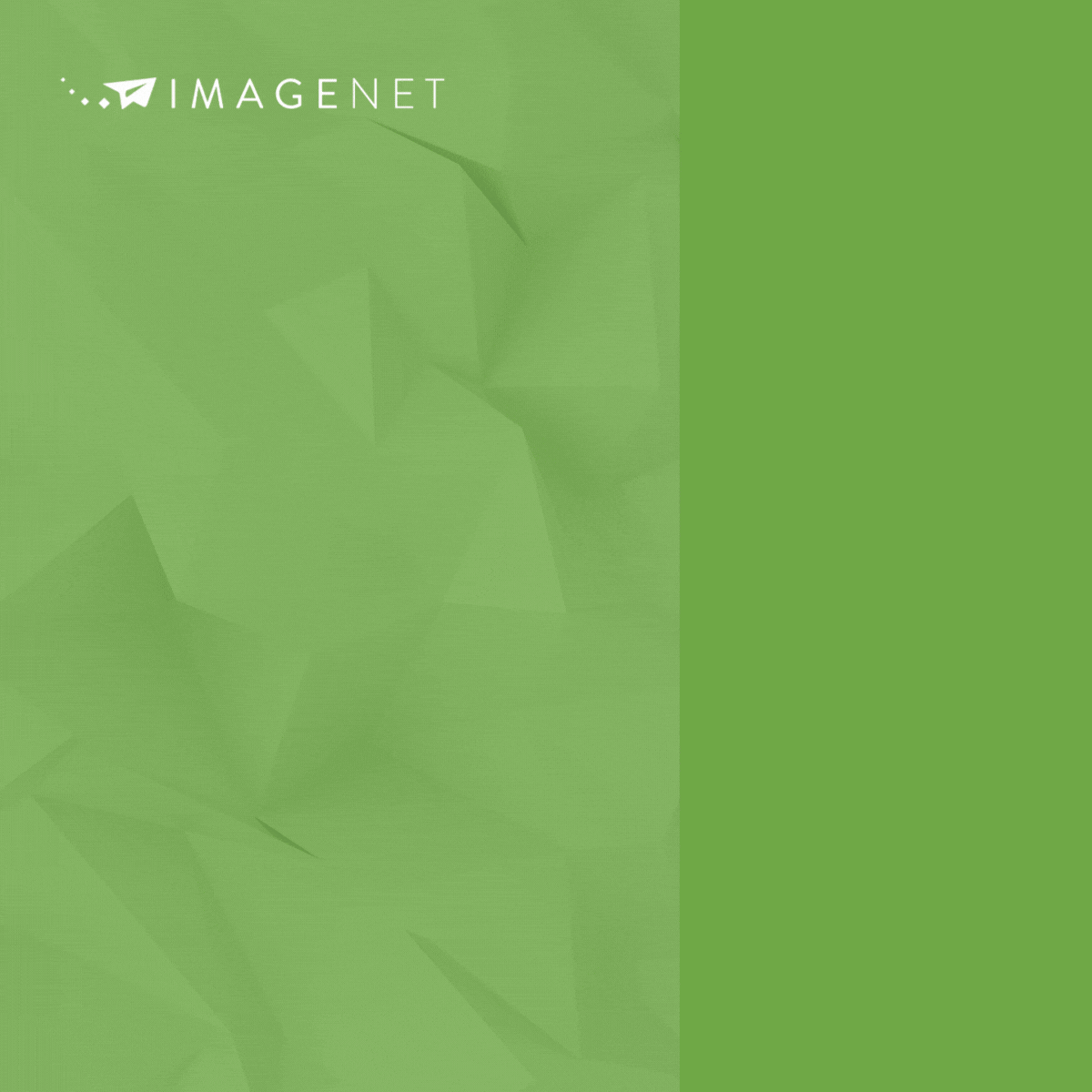Imagenet ad