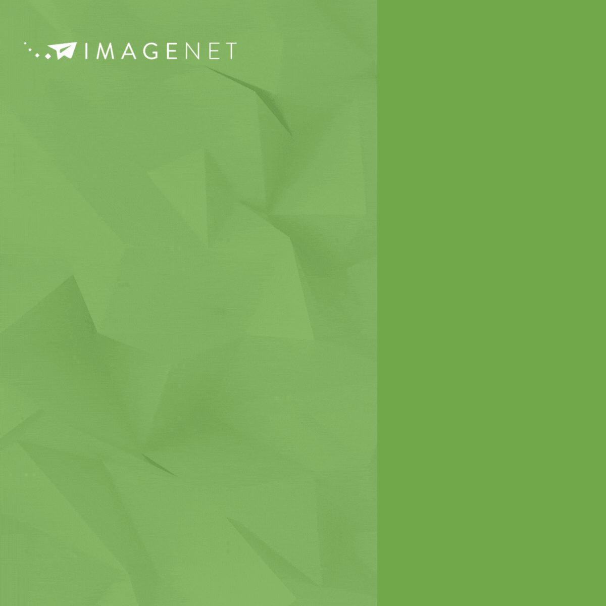 Imagenet ad
