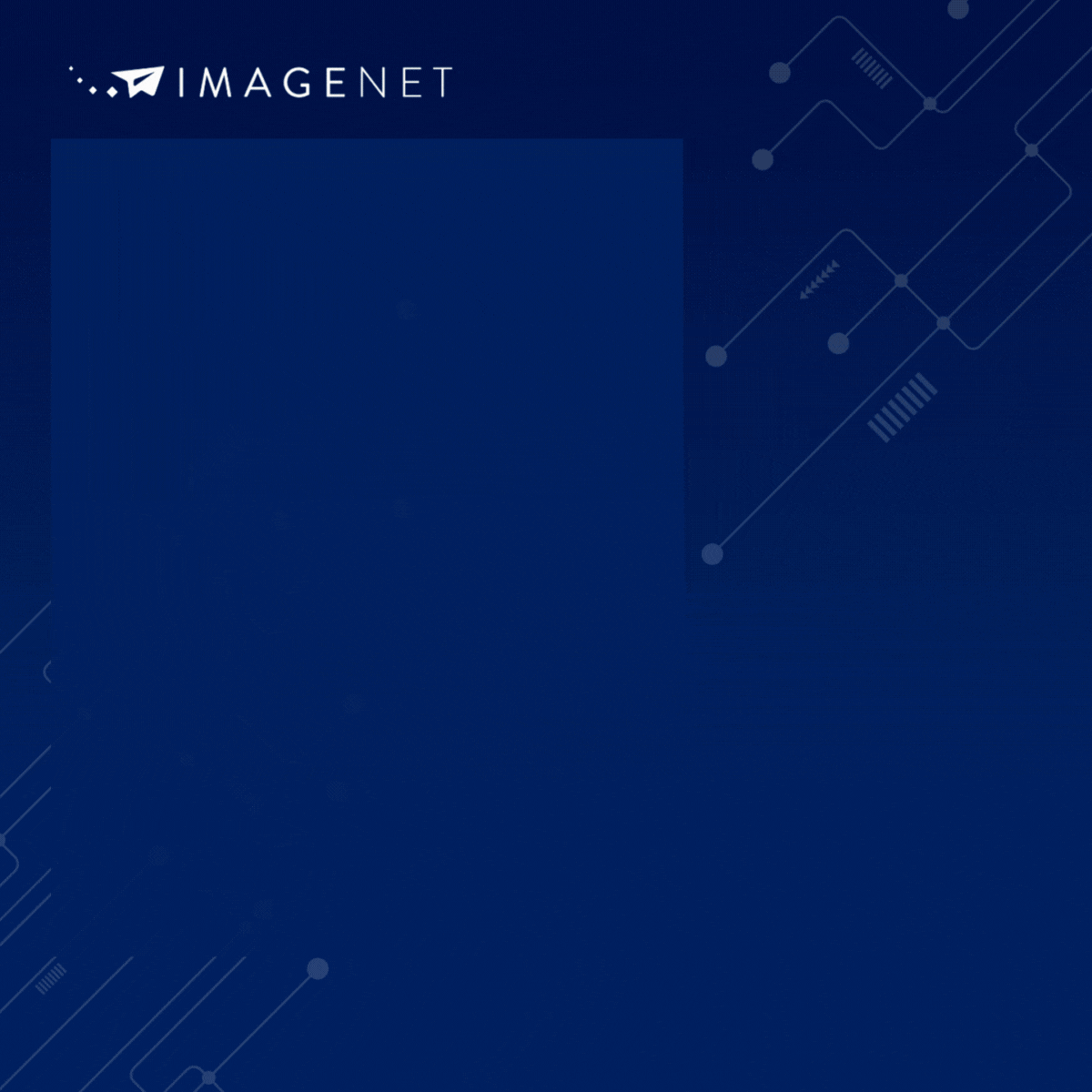 Imagenet ad