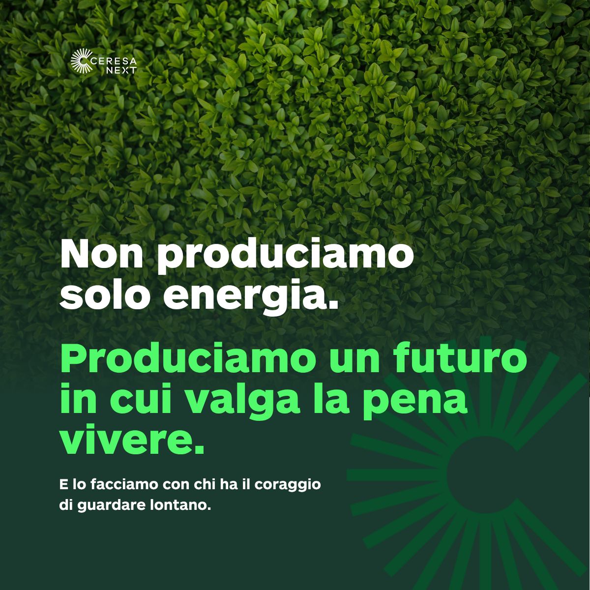Ceresa Next ad