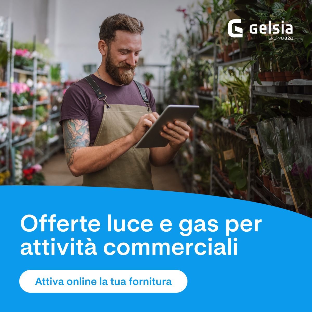 Gelsia ad