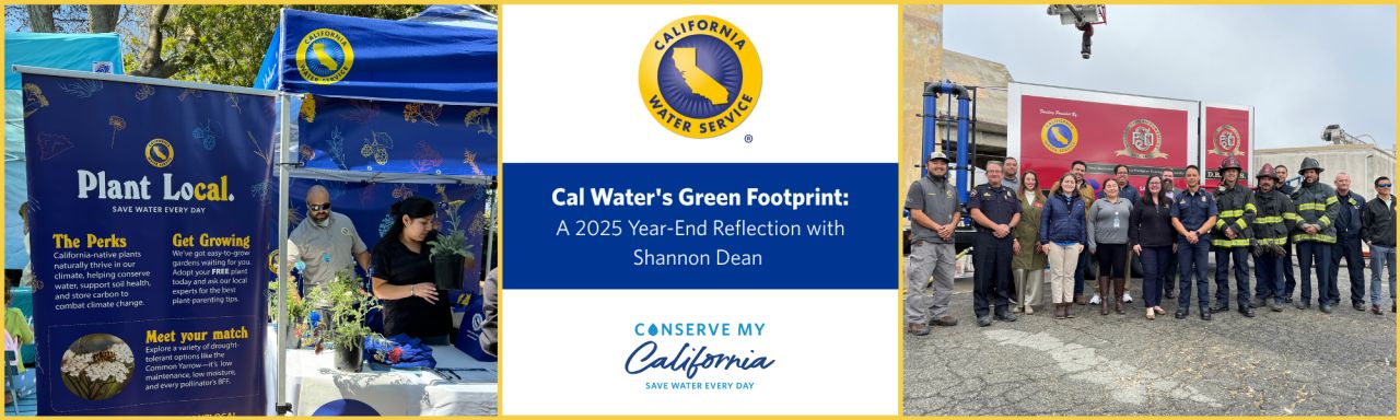 California Water Service ad