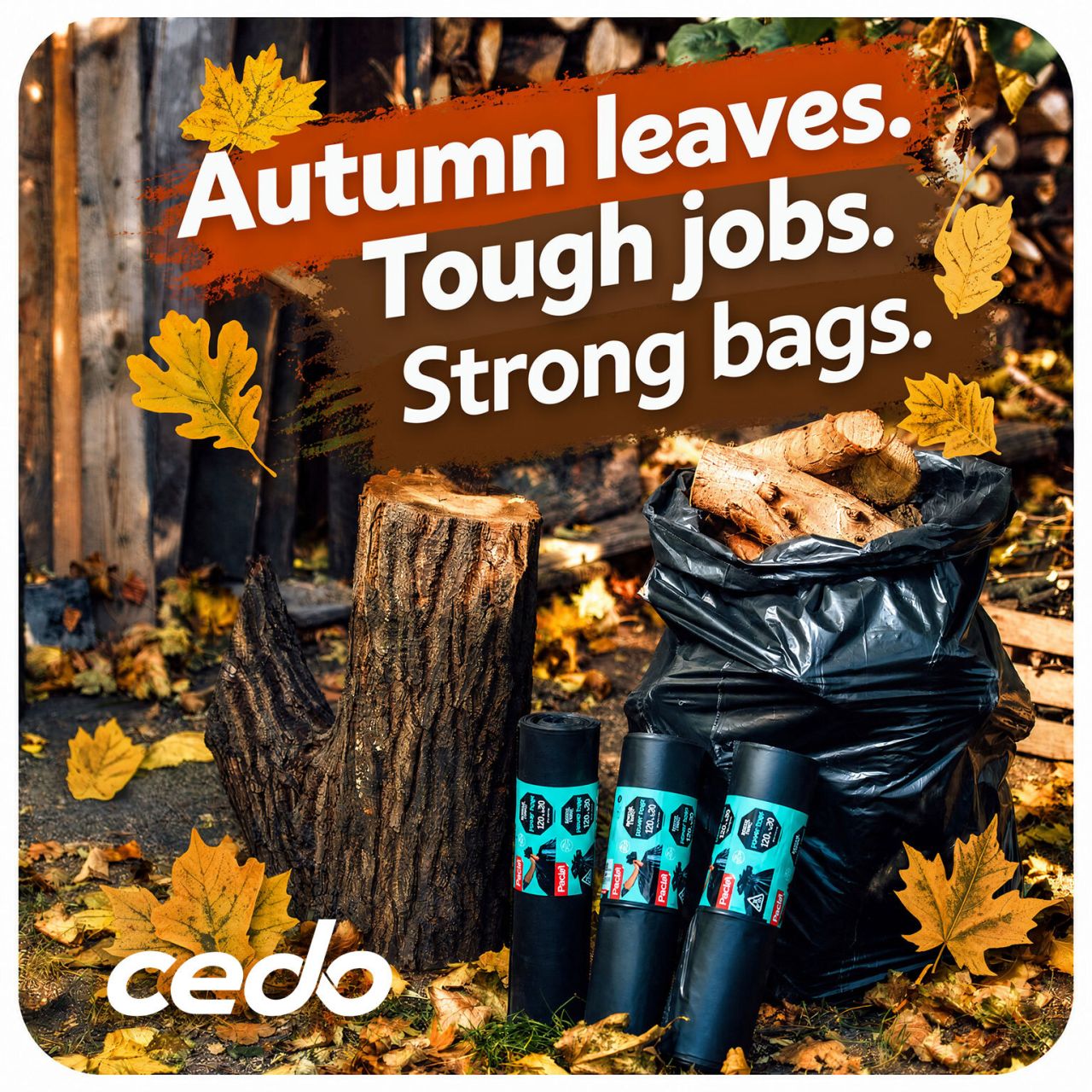 Cedo ad