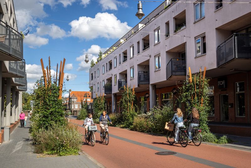 Gemeente 's-Hertogenbosch ad