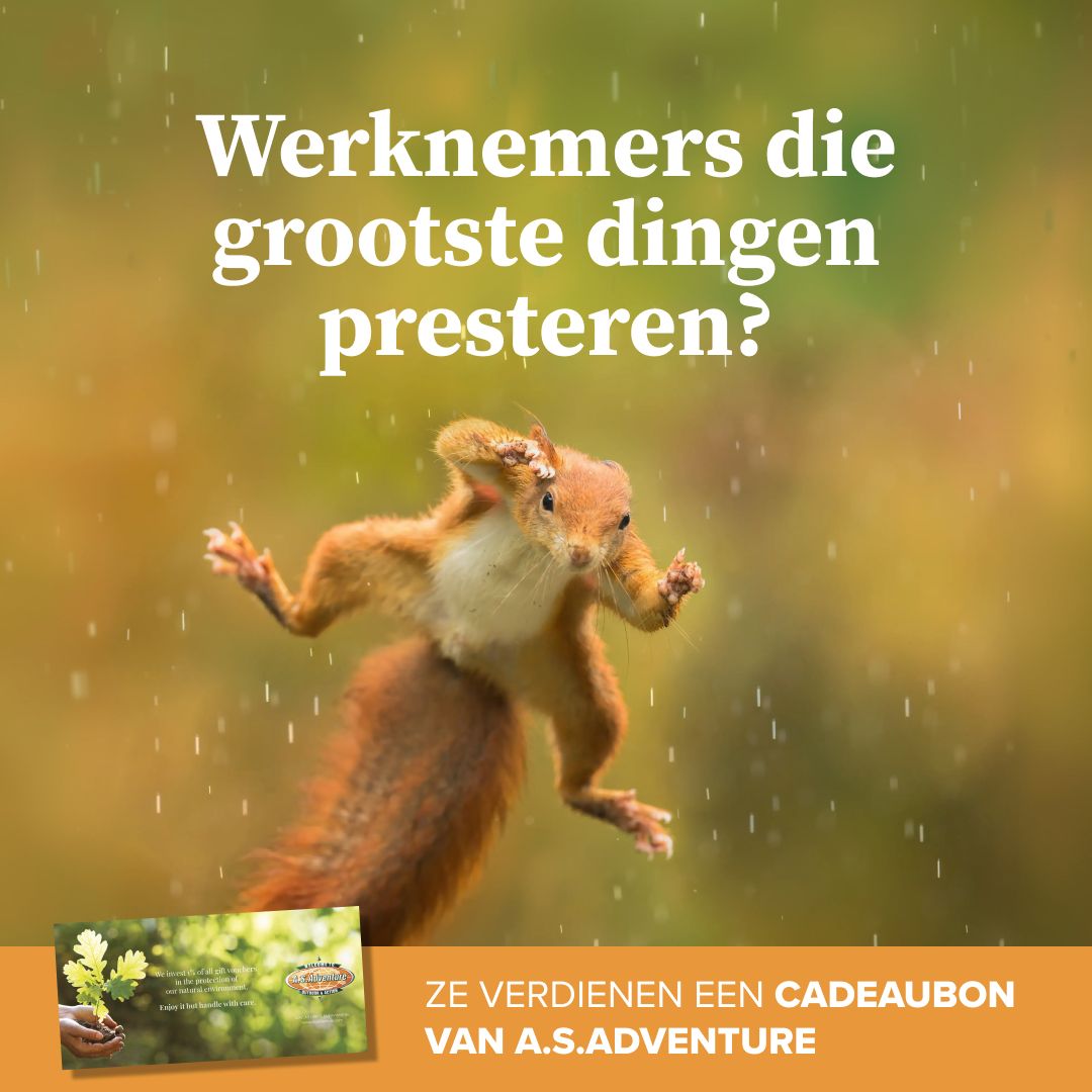 A.S.Adventure ad