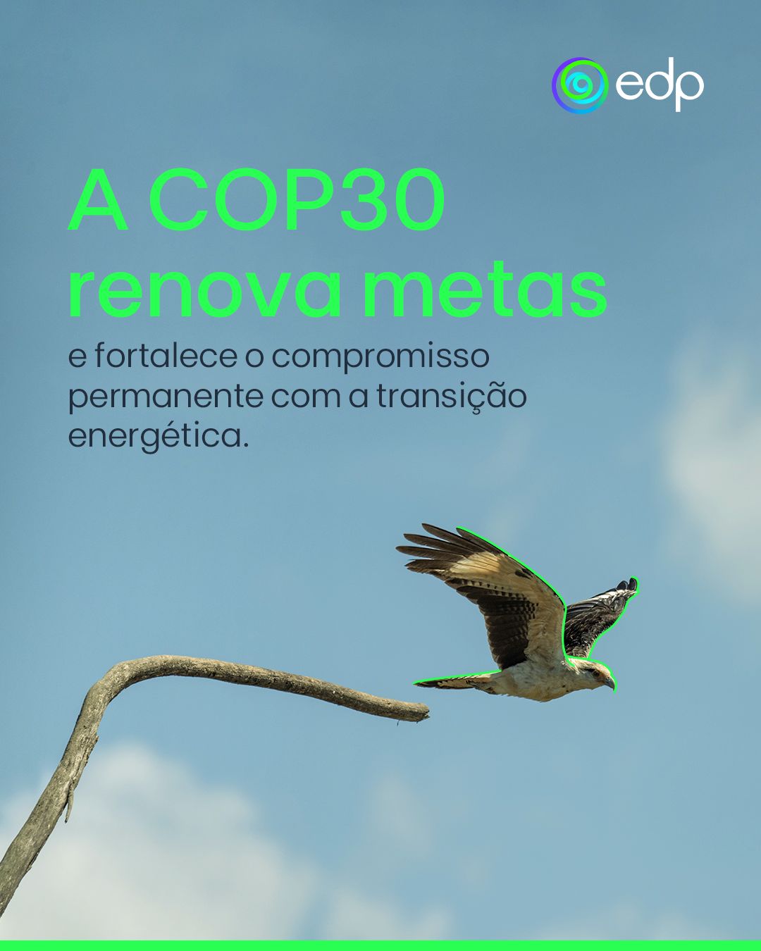 EDP Brasil ad