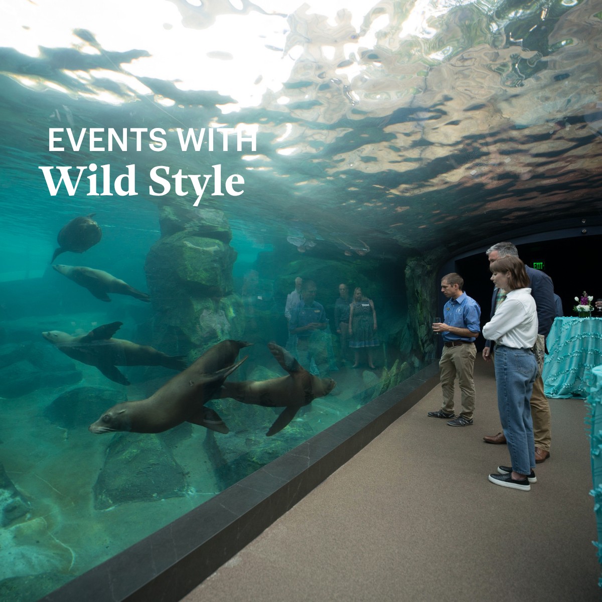 Houston Zoo ad