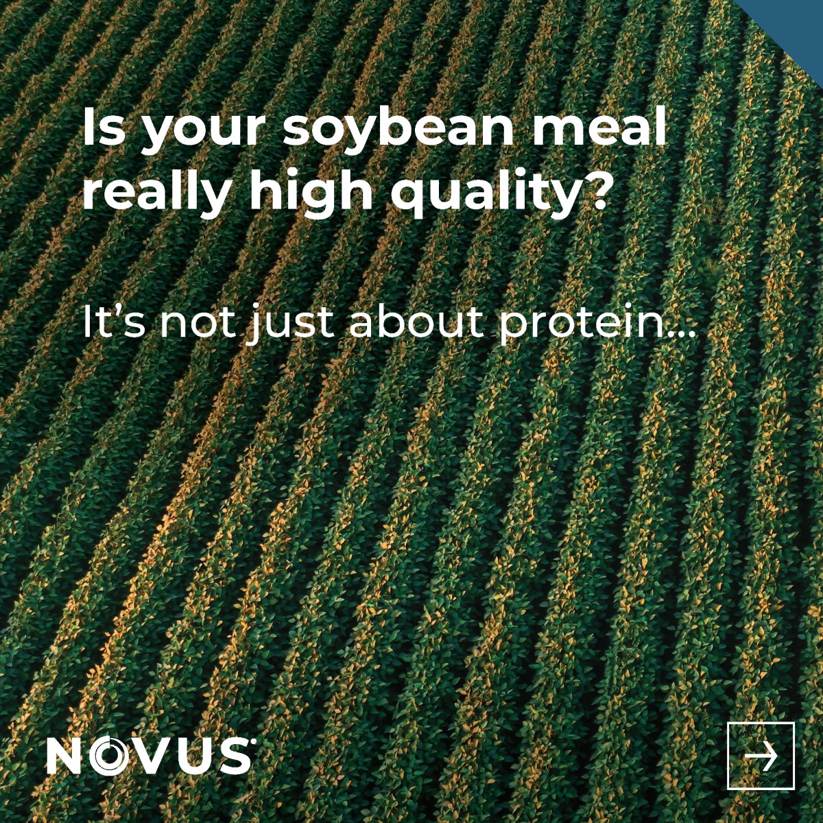 Novus International, Inc. ad