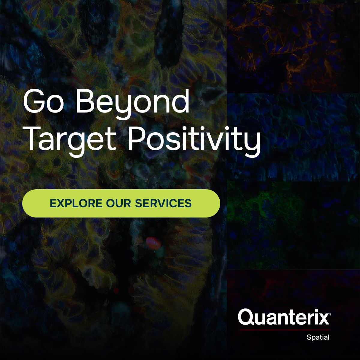 Quanterix ad