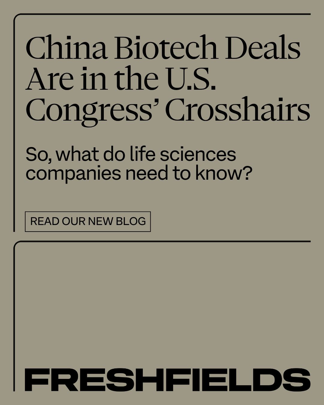 Freshfields ad