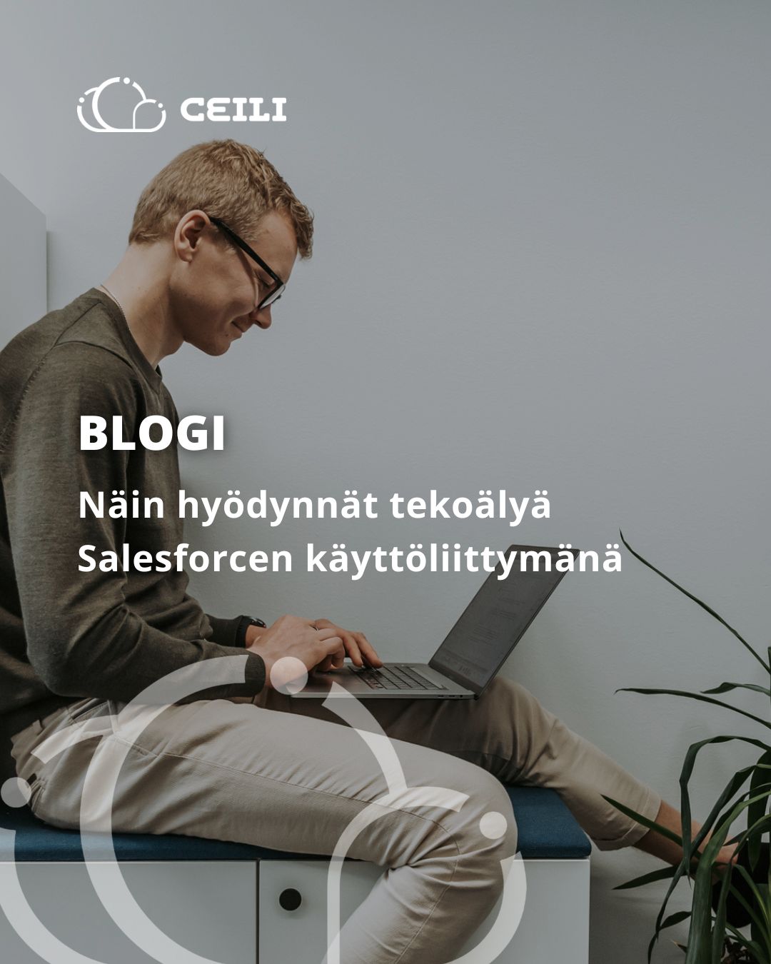 Ceili Oy ad