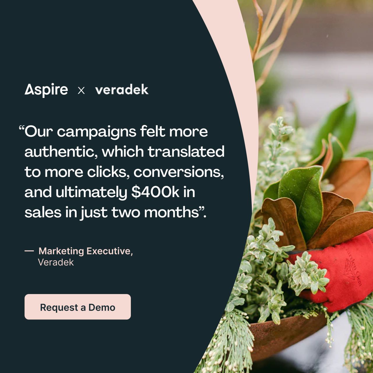 Aspire ad
