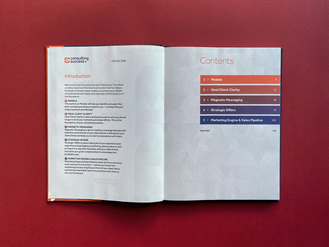 Consulting Success® ad