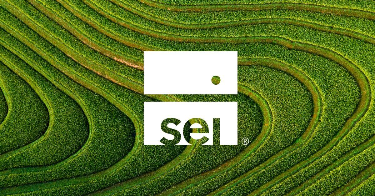 SEI ad